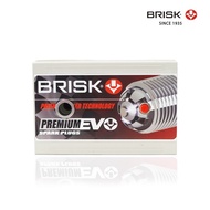 BRISK tester spark plug