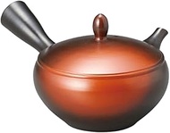J-kitchens 81922 Tokoname Ware Teapot, Made in Japan, Traditional, Stylish, Simple, Modern, 170cc