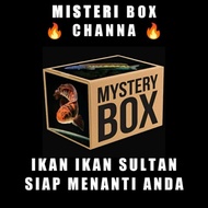 Mistery Box Channa Auranti, Stewarti, Andrao, Red Barito, Pulchra, Dll