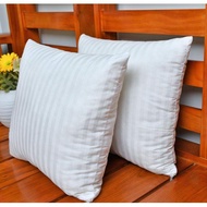 Down Feather Pillow Insert