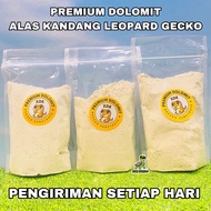 Premium Dolomite Sand GECKO Cage Base