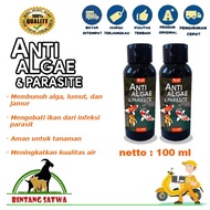 Anti Algae and Parasites 100 ml Moss Medicine Algae Remover for Ponds and Aquariums