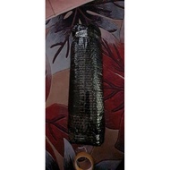 Belting Treadmill Refund