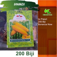 BENIH JAGUNG MANIS BONANZA F1