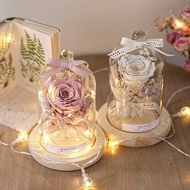 永生玫瑰花小夜燈 交換禮物 康乃馨 永生花玻璃罩 乾燥花 聖誕節