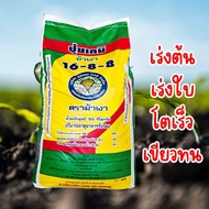 ม้าเงา 16-8-8 ปุ๋ยเคมี ใช้กรดซิลิคอนแทนฟิลเลอร์