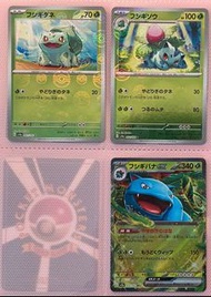 妙蛙種子 妙蛙草 妙蛙花ex 日版收藏卡 Pokémon ptcg 16/9/2025