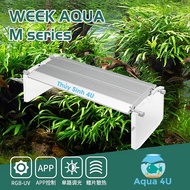 Đèn Week Raptor Pro (M Series) | LED RGB-UV đánh màu cây và cá cực đẹp