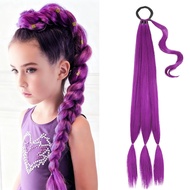 Purple Braiding Hair Extensions for Braids Rumi Braiding Hair for Stage Party Cosplay
