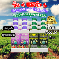 ซื้อ 6 แถม 6 CABMAX แคลเซียมและโบรอนเข้มข้น + VAMAX ธาตุอาหารรวมเข้มข้น