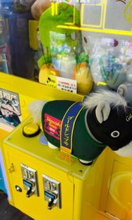 黃金船中馬