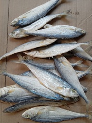 OBRAL MURAH//ikan asin murah wais talang 1kg tenggiri