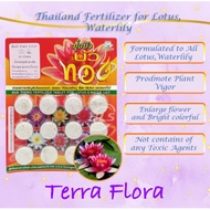 (FF 4) THAILAND FERTILIZER FOR LOTUS FLOWER &amp; WATER LILY, BAJA BUNGA TERATAI 12TABLETS