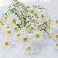 1pc/2pcs/6pcs Chamomile Artificial Flowers, European Style Desktop Daisy Fake Flowers Home Decor, Sp