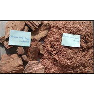 arjuna bark/powder maruthampattai (Terminalia arjuna) thiraviya pattai kulit kayu pokok 三果木 Dhanvi W