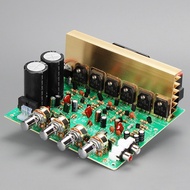 DX-2.1 Channel Audio Amplifier Board 100W+100W Dual AC 18-24V Volume Control