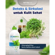 CHLOROPHYLL Drink for Daily Fitness CHLOROPHYLL PLUS (25 Oz) Synergy