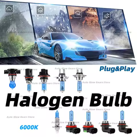 H7 Headlight Car Halogen Bulbs Super White Halogen Bulbs H4 H7 H11 H1 H13 9005 9006 9012 HIR2 880 H2