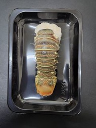 ⛔ 售完止 ❤️‍🔥中東龍蝦尾4oz.隻120g