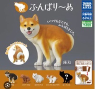 （包平郵）玩具扭蛋 狗狗去廁所 松鼠狗 傑克羅素 積羅素Jack Russell 黑柴犬