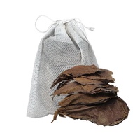 Aquarium Almond Leaves Catappa Leaves Aquatic Betta And Shrimp Leaves Creates Rainforest Environment