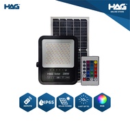 HAG RHQ Solar Spotlight| 50W/100W/200W | RGB Light