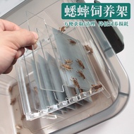 Cricket Breeding Box Cricket Rack White Cricket Breeding Box Needle Cricket Box Water Basin Oil Gour