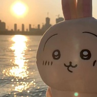 Chiikawa Usahachi Cute Silly Japanese Doll Birthday Gift for Women