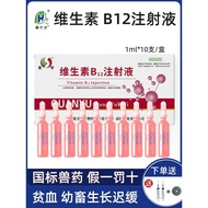 Vitamin b12 Injection Liquid Injection Agent for Animals Horse Beef Sheep Pets Dogs Cats Anemia Inje