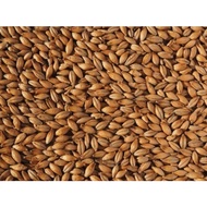 Imatton premium AUS MELANOID 50 barley malt homebrew craftbeer