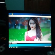 17 inch square computer monitor