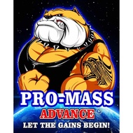 PRO-MASS ADVANCE (500 grams) massive weight gainer with appetite booster