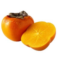 Pokok Pisang Kaki ( Persimmons)
