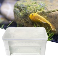 Fish Tank Filter Pollution-free Long-lasting Multipurpose Eco-friendly Mini Purify Water Odor Removal Upper Filter Aquarium Water Purifier Box Fish Supplies