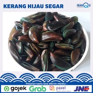 Kerang Hijau Segar 500gr - Kerang Hijau/Ijo Fresh - Kerang Seafood