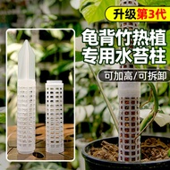 New Type Green Velvet Moss Column for Heat Plants White Turtle Vine Bamboo Support Pole Flower Rack 