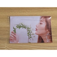 Iz*one IZONE from Lightstick