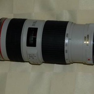 Canon EF 70-200mm f4 L IS USM Zoom Lens (latest lens)