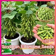 100% Legit 20pcs Fresh Edamame Seeds Soybeans Seed for Planting Organic Japanese Edamame Beans Veget