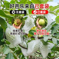Caotun Shipment Guava Net Cover Insect-Proof Bag-Proof Bag Special Integrated Foam Packaging Fruit G