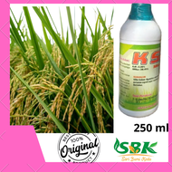 K sil Pupuk Kalium dan Silika Murni Penambah Bobot Buah dan Anakan Padi anti Rebah 500 ml