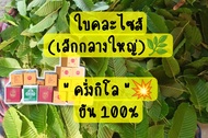 🌿กระท่อมใบปทุม คละไซส์ 💥 *ครึ่งกิโล 💥 ยัน 100% ใบมีปัญหาเคลมได้❤️