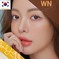 LENSME AKMA ONE DAY REAL FIT hongchae BROWN 30P and GRAY 30P
