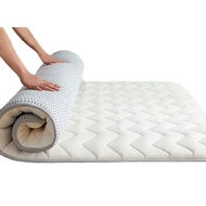 Latex Mattress Cushion Thickened For Home Tatami Mat Cushion Student Dormitory Single Sponge Mat Quilt Cushion Winter