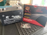 Ready AKI MOTOR GTZ5S TIGER HEAD AWET .ORI