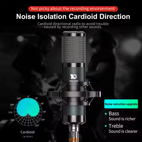 TEN10 Condenser Microphone, 26mm/ 34mm Large Diaphragm XLR Studio Recording Mic for Vocals, Podcasti