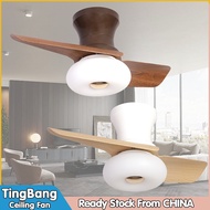 【TingBang】24"32" Ceiling Fan With Light DC Motor Ceiling Fan in Bedroom Fan Light Small Ceiling Fan