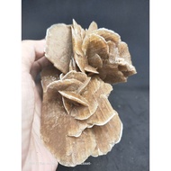 0636 desert rose specimen