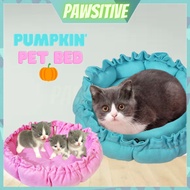 PAWSITIVE Pet Bed Cat Bed/ Cat Bed Cat Bed Cat Bed Cat Pillow Bed Cat Sleeping Bed/猫气猫゚猫用品