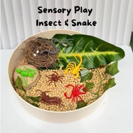 Insect & Snake Sensory Play / Sensory Toys / Insect Miniature / Sensory Play Insect / Sensory Play T